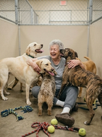 Support Our Shelter